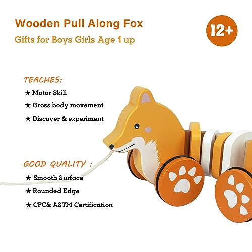 Baby Toys Car,Wooden Pull Along Toddler Toy, Developmental Toy for 1 Year Old Girl Boy Birthday Gift (Dog)
