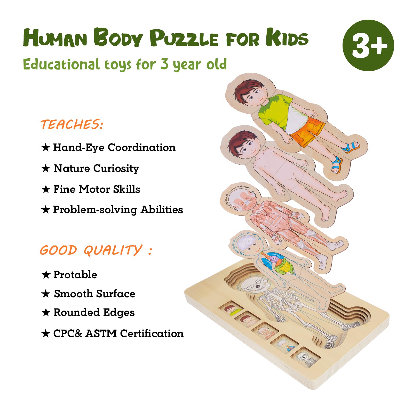 Human Body Puzzles for Kids 3-5,Wooden Montessori Anatomy Play Set, Human Body Model Puzzle for Preschoolers and Kids Ages 3+ (Boys)